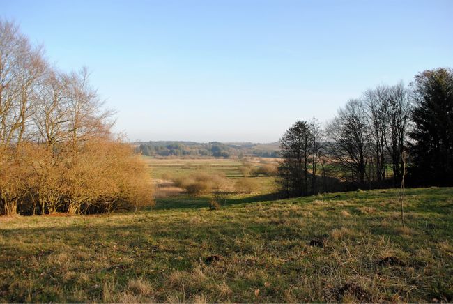 Langdalvej 11, Blære